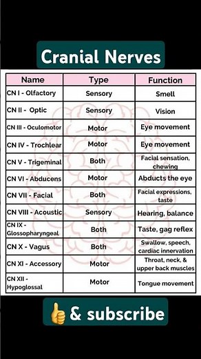 What are the 12 cranial nerves and their functions? #biology #physiology #anatomy #human #PNS