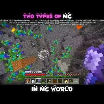 Two types of MC player in MC world 🌍😁#minecraft #popular #shorts