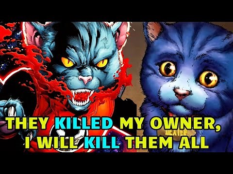 Dex-Starr Origins - Universe's Most Angriest And Powerful Cat, Her Backstory Will Break Your Heart