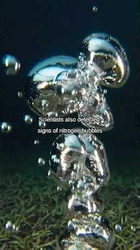 The Dark Side of Titan’s Seas | What Cassini Really Saw