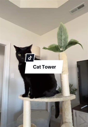 RobbieandRuby on TikTok