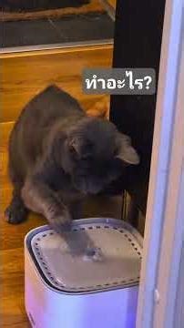 ลืมให้อ่านคู่มือการใช้งานก่อน