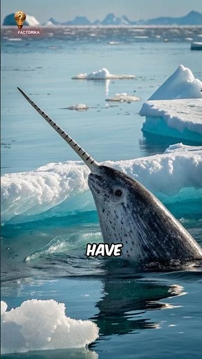 “The Real-Life Unicorn of the Ocean🦄| Mind-Blowing Narwhal Facts” #animal #nature #viral #facts