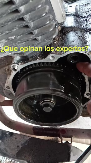Opiniones de Expertos sobre Bendix Nitrox 250
