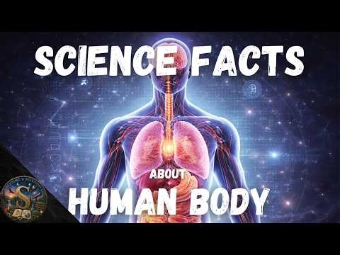 Fall Asleep to Science Facts About the Human Body | Biology Science | No Ads