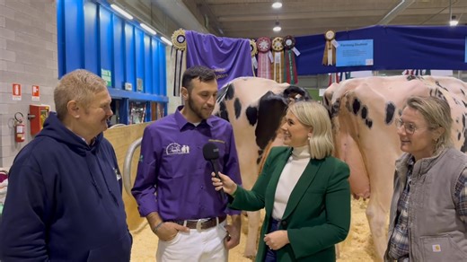 COWSMO ON CUE Cremona edition with the team behind the 2025 International Dairy Show Grand Champion Holstein adm Supreme Champion of the show - Fantasy Darsena. Fiere Zootecniche Internazionali di Cremona | Cowsmopolitan, Inc.
