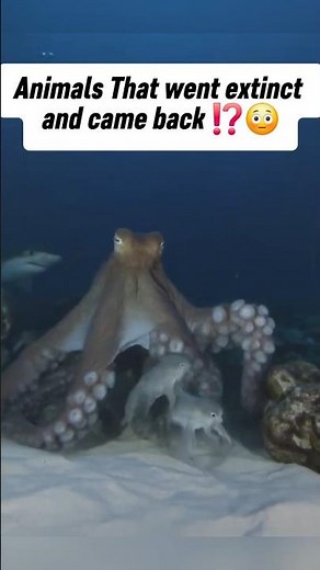 😳Animals That went extinct and came back