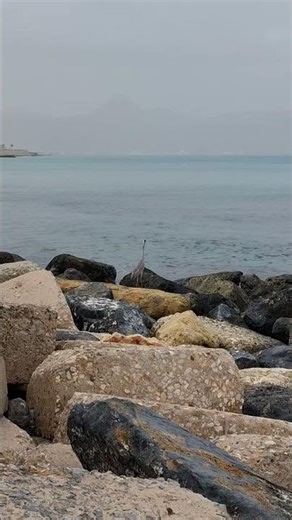 The Use of Pythia Art Of Masters Short Artist Masterpiece Film Real Time