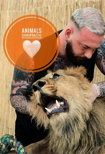 Animals with back pain 🥹🥹🥹 Mich interessiert, welches Tier euer Lieblingstier ist. Mein ganz persönliches Lieblingstier ist der Hund ♥️ Hunde stehen für Treue, Ehrlichkeit und bedingungslose Liebe. Sie sind immer an unserer Seite, spüren unsere Stimmung und schenken Nähe, ohne etwas zu verlangen. Egal ob verspielt, wachsam oder einfach nur ruhig danebenliegend – ein Hund bereichert das Leben auf eine ganz besondere Weise und wird schnell zu einem echten Familienmitglied.♥️♥️♥️♥️ #foryou #asmr