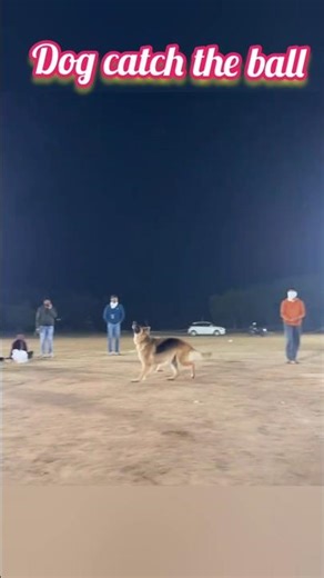 Unbelievable ! What a Catch ?