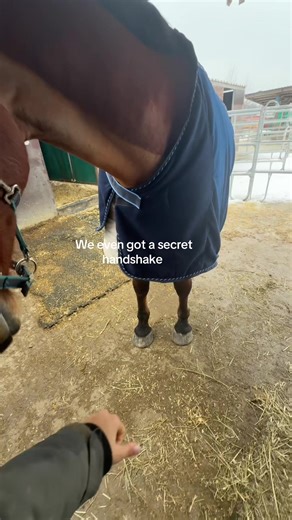 Secret Handshake Trends Explored