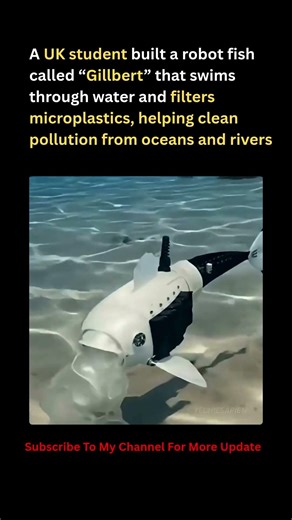 Robot Fish That Eats Ocean Plastic! 🐟🌊 #shorts #technology #innovation #ocean #robotics #trending