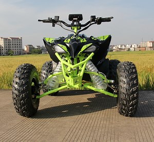 [Hot Item] Dew Design Raptor Sport Electric Quad Bikes for Adults Four Wheels ATV 4000W 5000W 8000W
