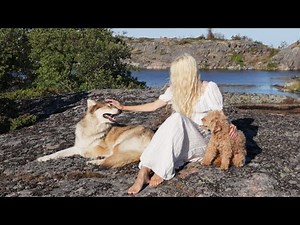 MAGICAL LIFE IN SWEDEN | Back to Nature | NORDIC WOMAN | Calm Summer Day in the North
