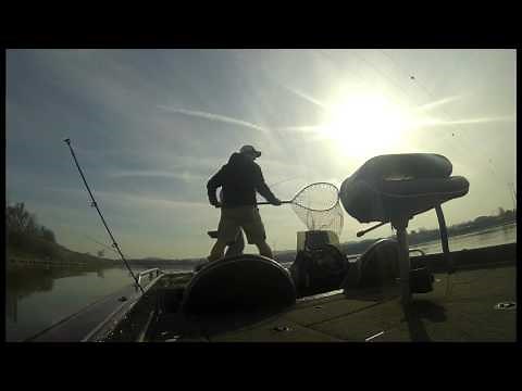 Bass Fishing Nickajack Lake, Tennessee