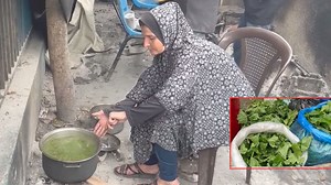 'We put our lives in danger, but...': Gaza residents resort to eating mallow plant amid food shortages I VIDEO