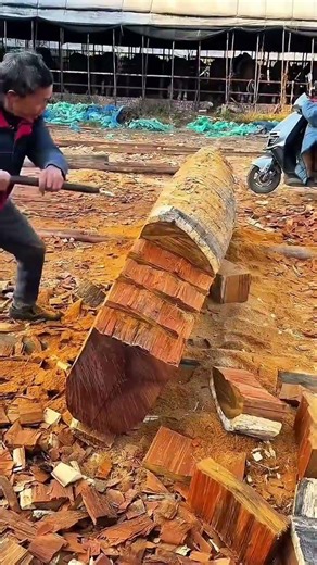 Using a traditional hand axe to shape and level the surface of a large wooden log in the workshop
