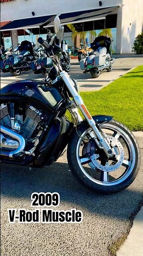 2009 V-Rod Muscle VRSCF | Custom dual exhaust