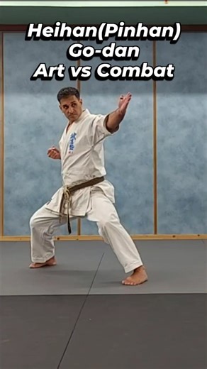 Hagai Bitran on Instagram: "Kata Bunkai(application) for Heihan/Pinhan Go-dan Art VS Combat- During time jumps and large stences where haded to the kata to make it more dramatic but the original kata was formed as a training tool to practice self defense techniques. #karate #discipline #mma #seido #fight"