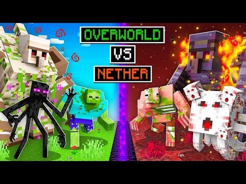 OVERWORLD vs NETHER Dimension!