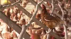 128K views · 3.9K reactions | Que Legal. Tudo bem Sandro Braga? Aqui...