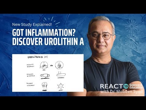 Got Inflammation? Discover Urolithin A
