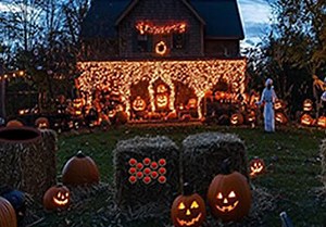 Halloween Lovely Garden Escape - Escape Fan