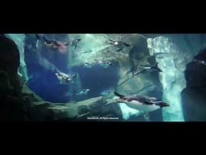 The Wonder Remains - Visit Orlando's latest TV campaign