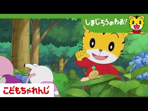かたつむりをすくえ【しまじろうチャンネル公式】