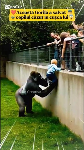 🥹❤️children saved by animals the real angels🙏👼 #animalheroes #savethekids #viral #animalprotectors