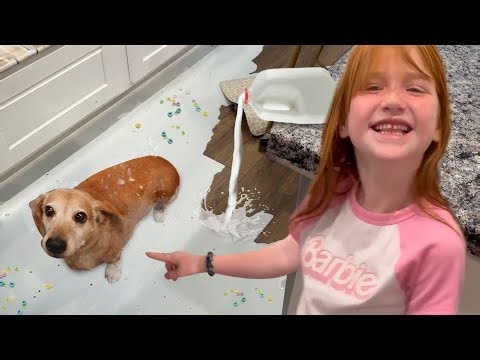 WE SPiLLED MiLK!! Adleys morning cereal routine turns into FAMiLY MAYHEM & Niko turns into koopa!!