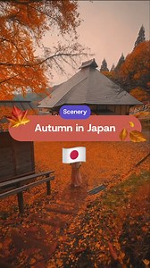 Autumn in Japan — every step feels like walking through a postcard 🍂🇯🇵 As the leaves change color, Japan becomes even more breathtaking. The cool breeze, red leaves, and peaceful vibes make it the perfect season to explore ❤️ Let’s Travel Halal Japan with JomJapan! ✈️🍁 #Autumn #Japan #JomJapan #Kyoto #TravelHalalJapan | JomJapan.com