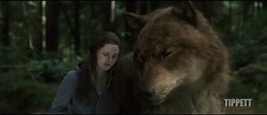 The Twilight Saga. Eclipse Wolves (scenes with wolves) - video Dailymotion