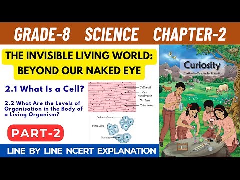 Grade 8 Science Curiosity Chapter 2 The Invisible Living World Beyond Our Naked Eye | Part 2