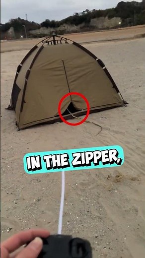 He Pranked His Friend With a Remote-Controlled Snake 😳 #shorts