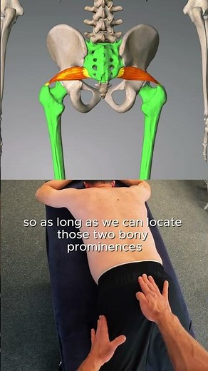 How to find Piriformis - palpating anatomy for therapists 👉🏻🍑