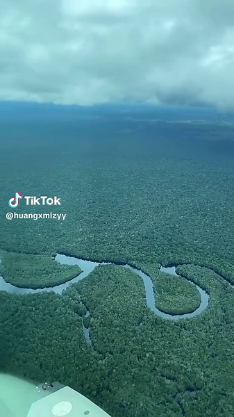 Explore the Wonders of the Amazon Rainforest