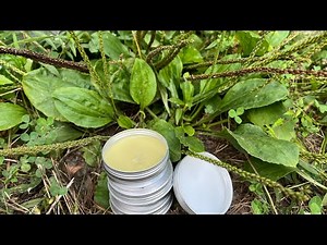 Making Plantain Salve