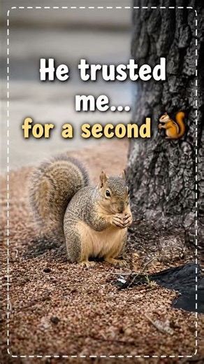 Just a tiny moment under an oak tree… 🐿️