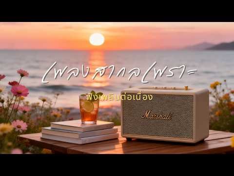 รวมเพลงสากลเพราะ ฟังสบาย Vol.11 | เปิดคลอ ชิล ๆ ทั้งวัน