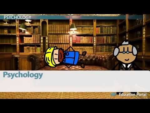 Behavioral Sciences That Impact and Influence Organizational Behavior