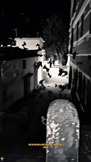 #capcut #capcutpioneer #capcutforus how to do the uchiha tutorial itachi uchiha crows tutorial itachi turns into crows itachi uchiha calling crows itachi uchiha army of crows itachi using his crows how to use itachi crows in storm how to do Itachi Uchiha crow tutorial how to do Uchiha jutsu tutorial Itachi Uchiha crows edit tutorial how to use Itachi crows in Naruto Storm how to edit Itachi turning into crows in CapCut Itachi Uchiha crow clone effect tutorial Itachi cosplay crow summoning edit g