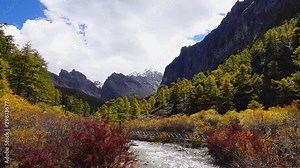 Mountain stream in The last Shangri la, Daocheng-yading, Beautiful Scenic of Yading Natural Reserve, Sichuan, China. in slow motion.