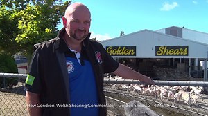 3.9K views · 124 reactions | Welsh Shearing Commentator Huw Condron, who officiates at shows all over the UK is excited to be in Masterton for the Golden Shears! There are lots of events coming up tonight and tomorrow. Don't miss out on the exciting action - get your tickets now at: www.goldenshears.co.nz for more info. | Golden Shears | Facebook
