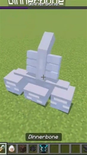 Minecraft Dinnerbone🤣 #minecraft