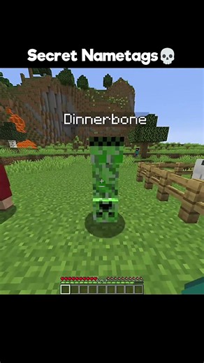 Minecraft Secrets #minecraft