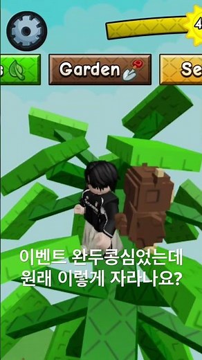 [로블록스] 그로우 어 가든2 거대식물 #grow a garden2 #이벤트 완두콩 #이벤트코드 #로블록스 #게임방송 #roblox #게임