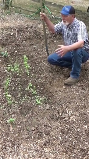 Just pile your mulch