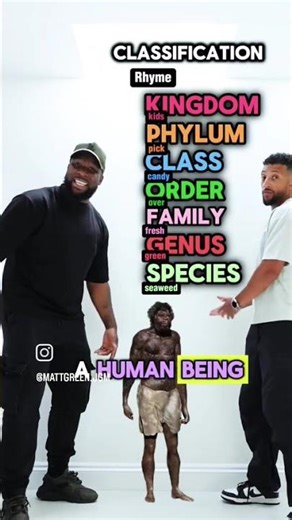 Easy to learn Classification of Human Being 🚶🏻‍♀️ #amazing #science #evolution #facts #treanding