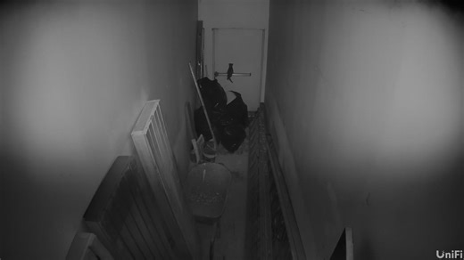 Since September 2, we’ve had a mystery guest hanging out at BrewedUp 🤦🏽‍♀️ Last night, I swear they tried to push the panic bar to make their grand escape 👀😂 Somebody please tell me why this guest got more determination than most of us on a Monday morning 🤭☕️ #BrewedUp #MysteryGuest #PlottingTheEscape #CoffeeAndCuriosity #StayTuned #CommunityVibes #LilburnLife | Ayvette Simone